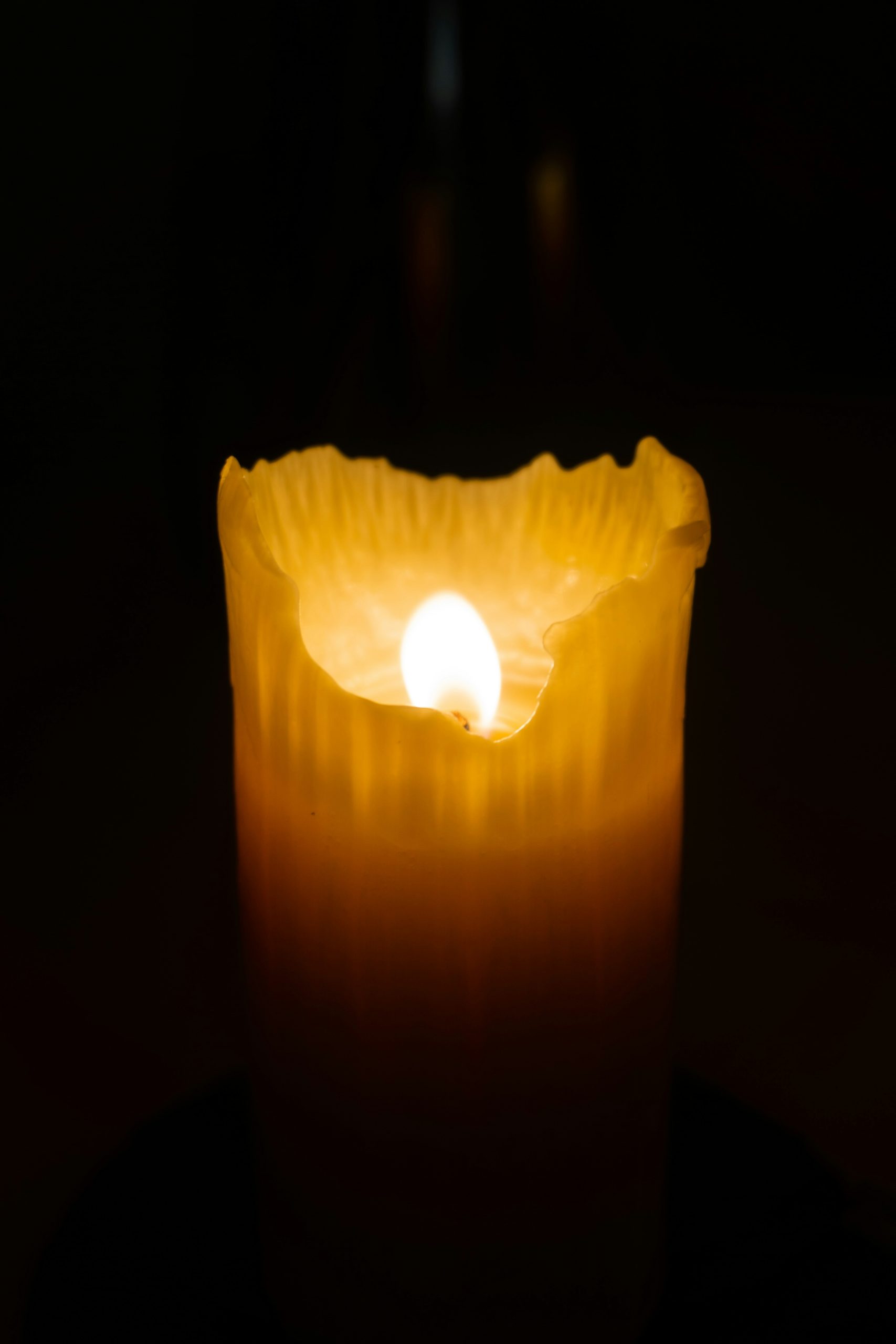 eszter naujoks z6fsqtv7uv0 unsplash